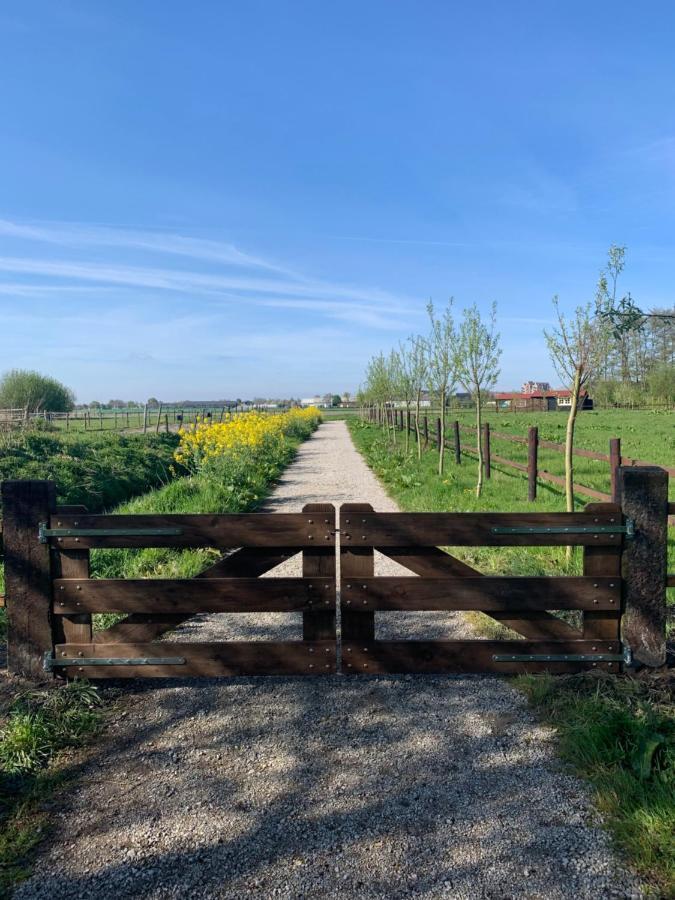 Zwaanshoek Fields 1216 Bed & Breakfast エクステリア 写真