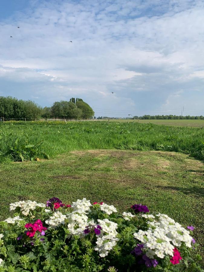 Zwaanshoek Fields 1216 Bed & Breakfast エクステリア 写真